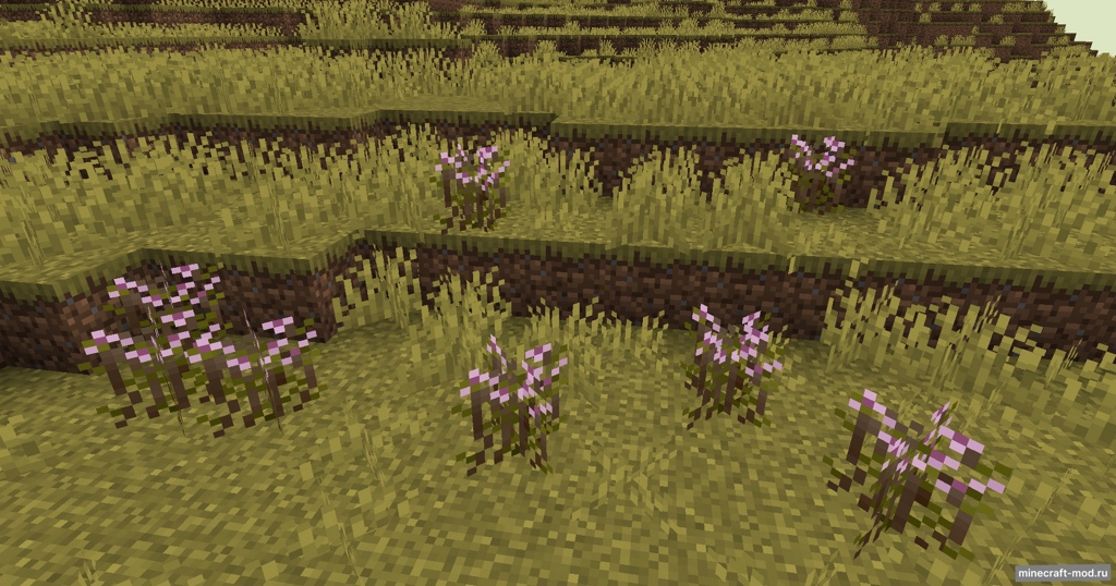 Мод Wild Fields для Minecraft 1.21.1