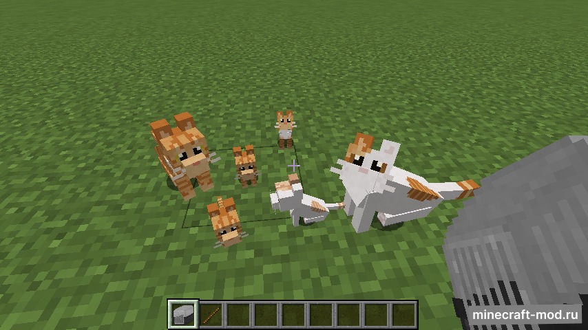 Мод Simply Cats для Minecraft 1.20.2, 1.20.1, 1.19.4,  ...