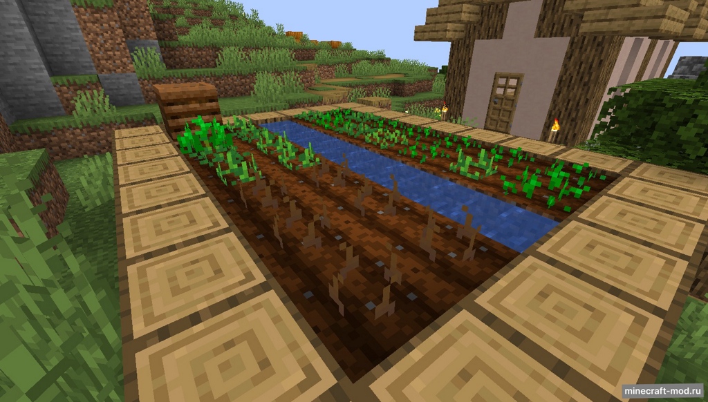 Мод Growing Items для Minecraft 1.21.1