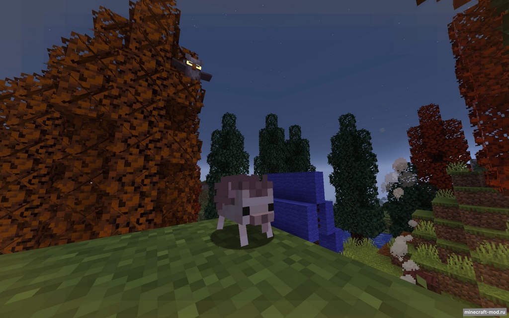 Мод Chocco's Cozy Campers для Minecraft 1.21.1, 1.20.1