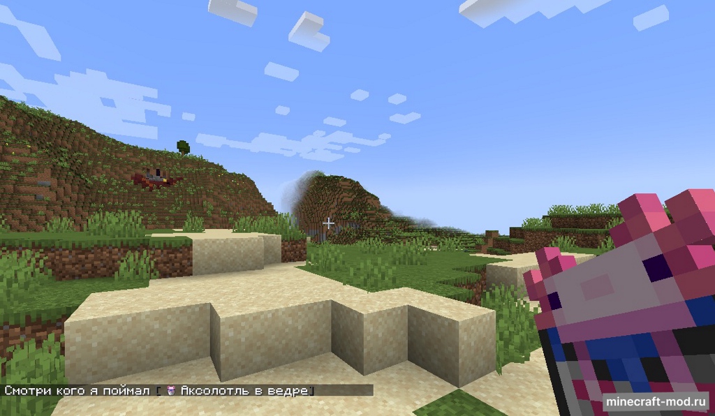 Мод Display That! для Minecraft 1.21.1