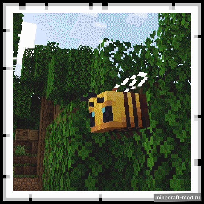 Мод Exposure: Polaroid для Minecraft 1.21.1