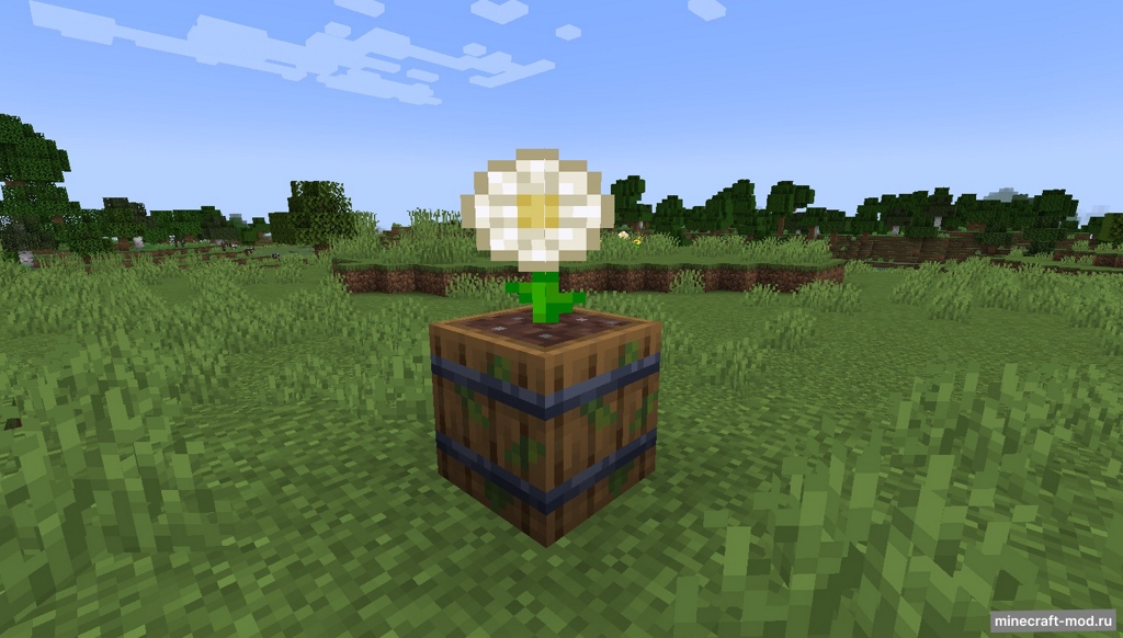 Мод Empowerment Garden для Minecraft 1.20.1