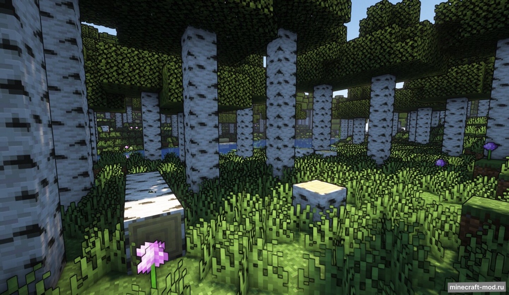 Мод Red´s Better Biomes для Minecraft 1.19.3, 1.19.2, 1.19,  ...