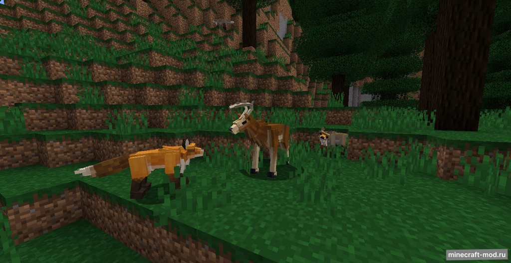 Мод Better Animals Plus для Minecraft 1.19.2, 1.19.1, 1.19,  ...