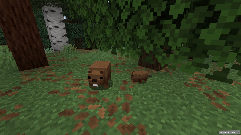 Мод Canadian Content для Minecraft 1.21.5