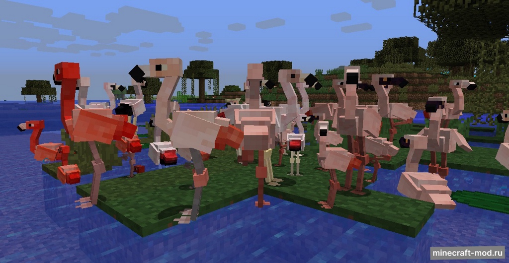 Мод Exotic Birds для Minecraft 1.20.1, 1.19.3, 1.19.2,  ...