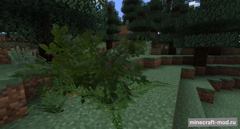 Мод Vegetation+ для Minecraft 1.12.2