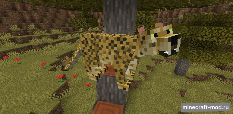 Мод Untamed Wilds для Minecraft 1.20.1, 1.19.2, 1.18.2,  ...