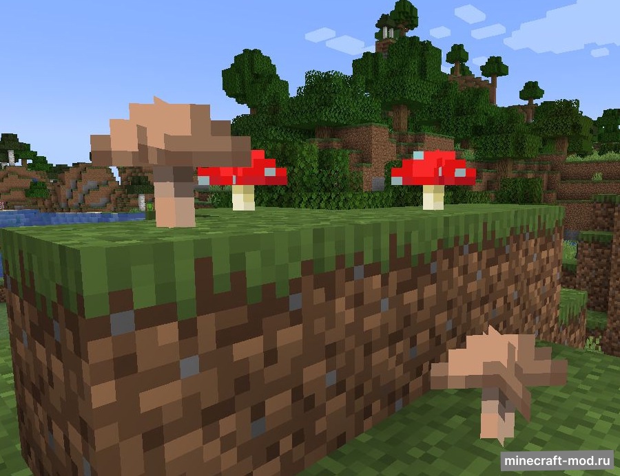 Мод Surface Mushrooms для Minecraft 1.21.1, 1.21, 1.20.6,  ...