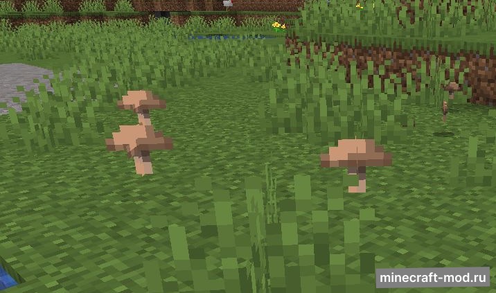 Мод Surface Mushrooms для Minecraft 1.21.1, 1.21, 1.20.6,  ...