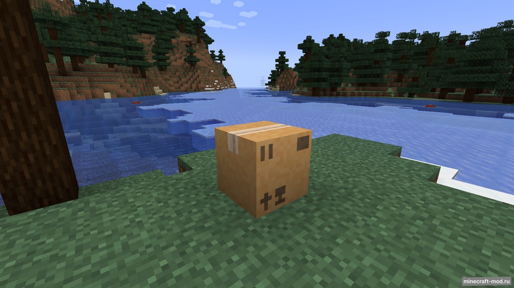 Мод Packing Boxes для Minecraft 1.21.4, 1.21.1, 1.21,  ...