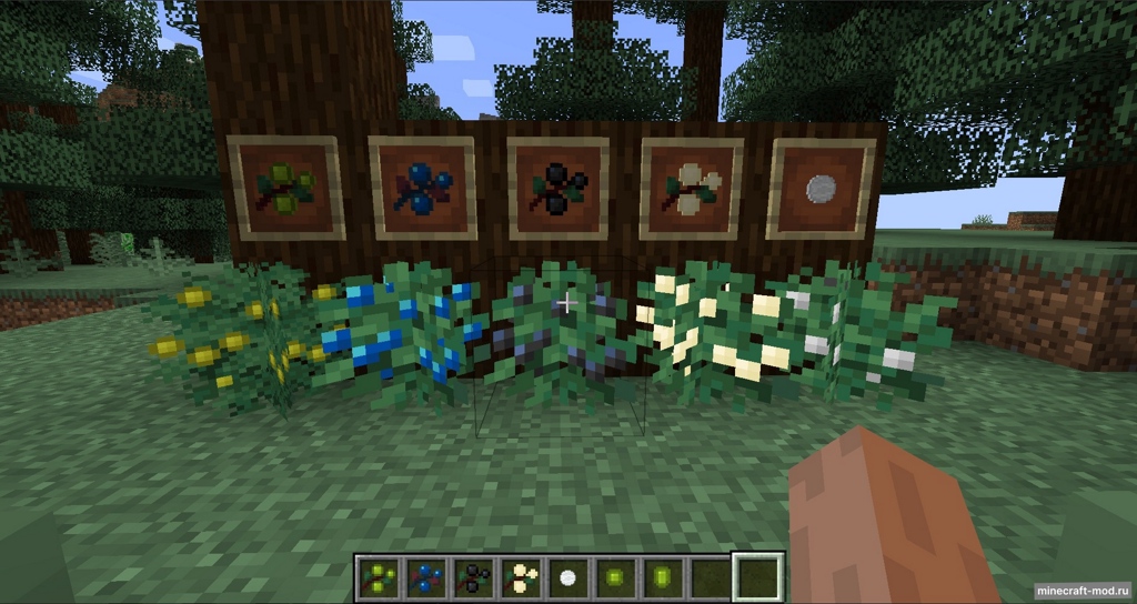 Мод More Bushes для Minecraft 1.18.2, 1.16.5