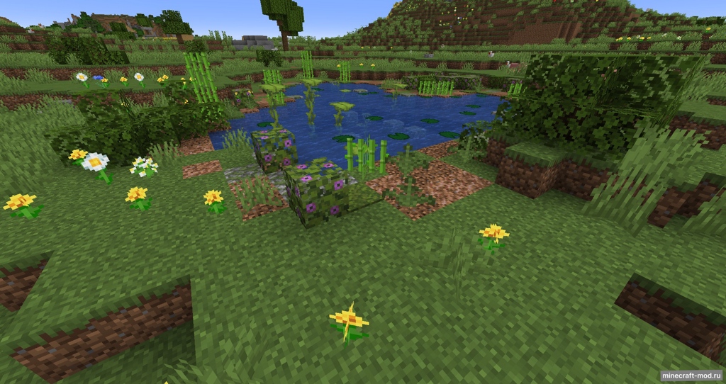 Мод WildSprout: Plains для Minecraft 1.21.8 - 1.21