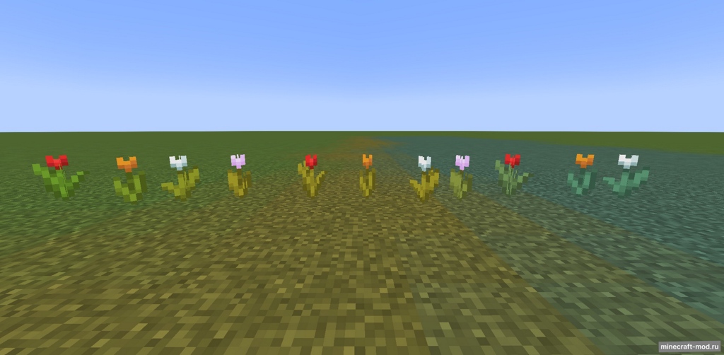 Мод Biome Tinted Flowers для Minecraft 1.20.4 - 1.20.1