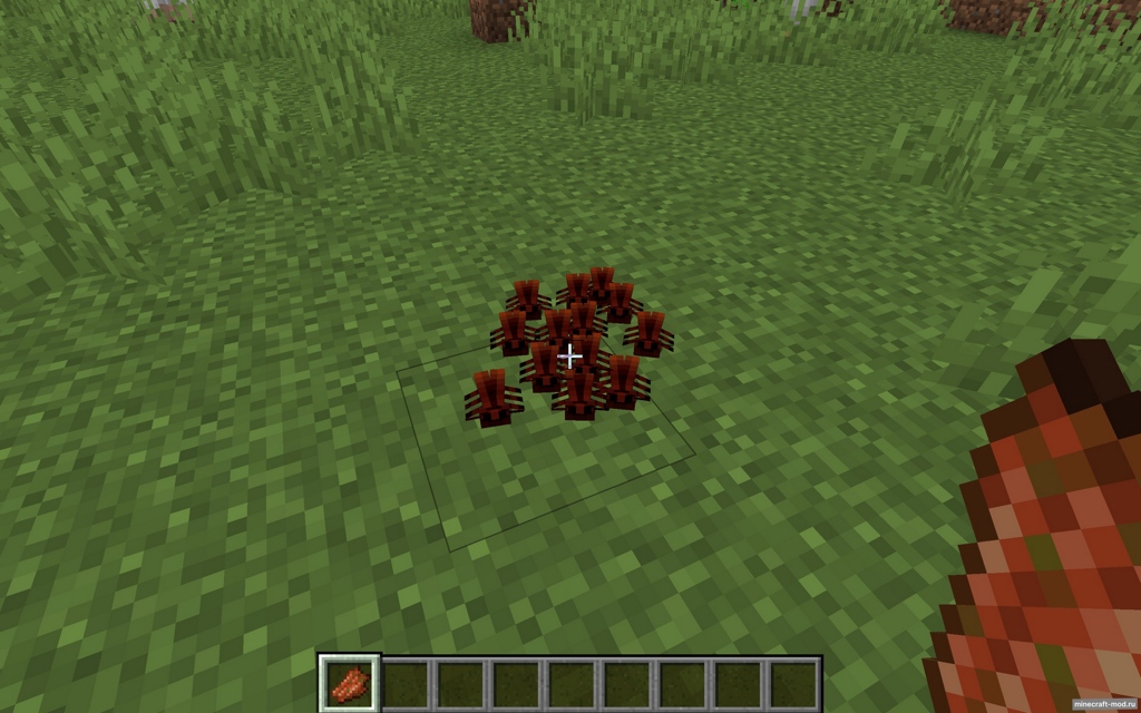 Мод Cockroach для Minecraft 1.20.1
