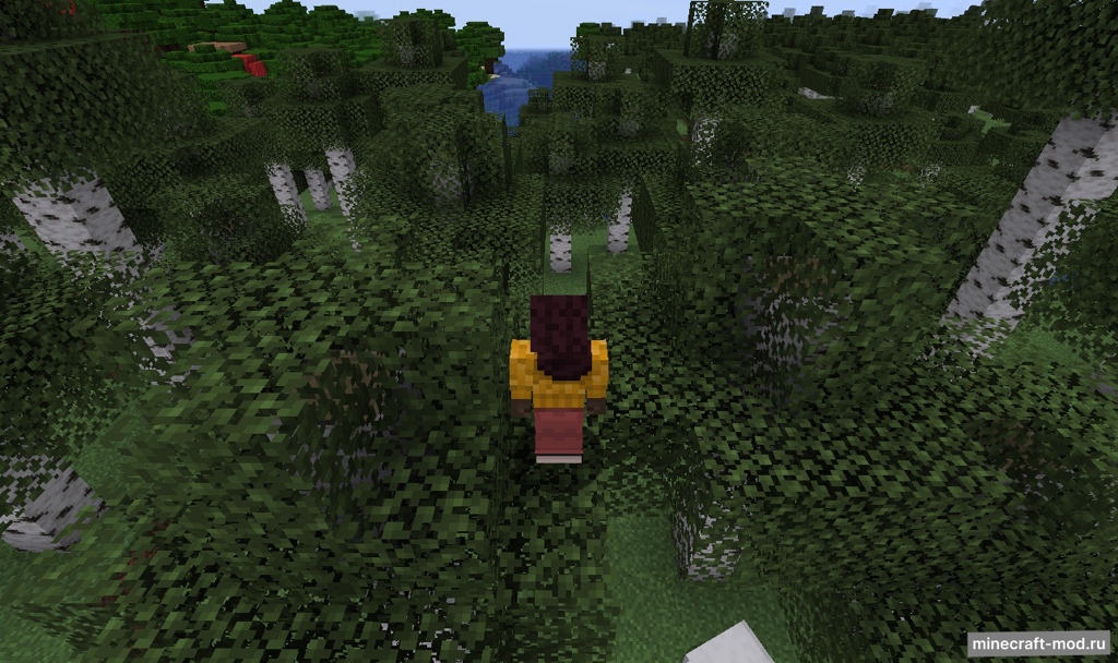 Мод Perspective для Minecraft 1.21.1, 1.21, 1.20.5,  ...