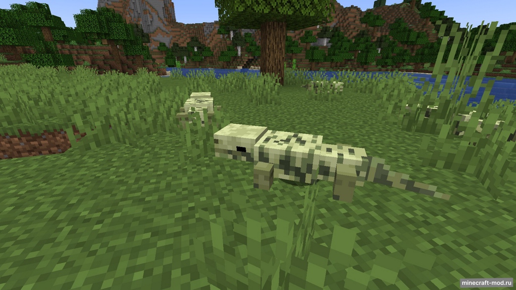 Мод What the geck'o для Minecraft 1.20.1, 1.19.4, 1.19.2