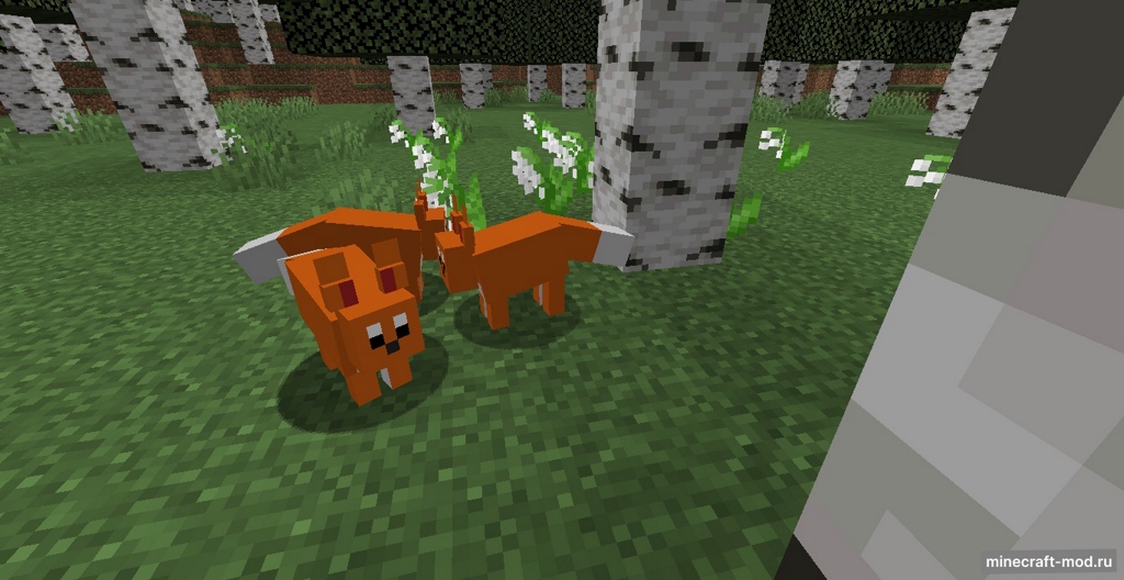 Мод Pseudorygium для Minecraft 1.20.1