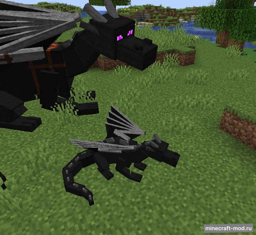 Мод Dragon Mounts Remastered для Minecraft 1.21.1, 1.20.4