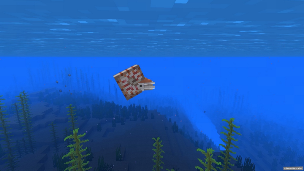 Мод Complementary Nautilus для Minecraft 1.21, 1.20.6, 1.20.4