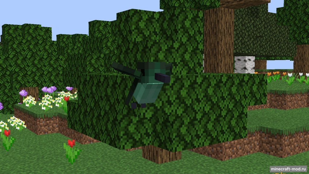 Мод Café's Birding для Minecraft 1.20.1
