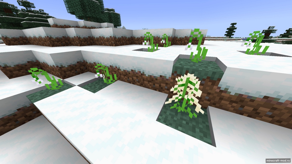 Мод Nature's Expert для Minecraft 1.20.4