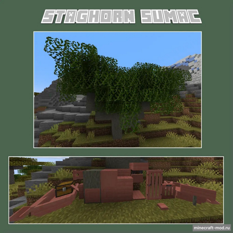 Мод Silverwood Trees для Minecraft 1.21.1 - 1.19.4