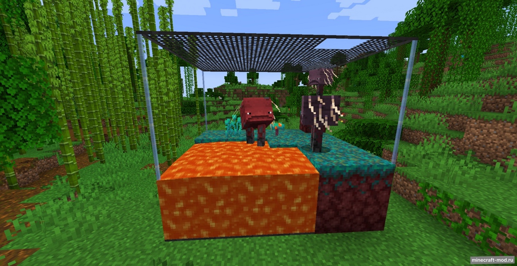 Мод Terrariums And Cages для Minecraft 1.20.1, 1.18.2
