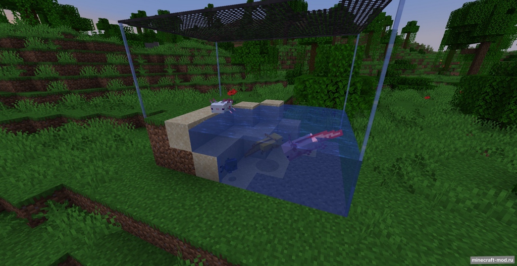 Мод Terrariums And Cages для Minecraft 1.20.1, 1.18.2