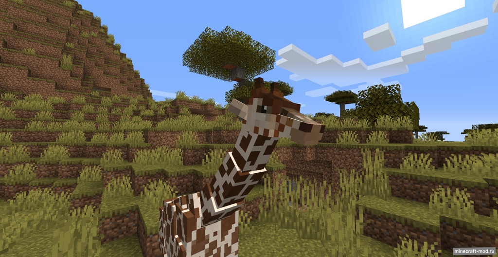 Мод Zoo and Wild Animals: Evolved (ZAWA) для Minecraft 1.20.1, 1.19.2, 1.18.2,  ...