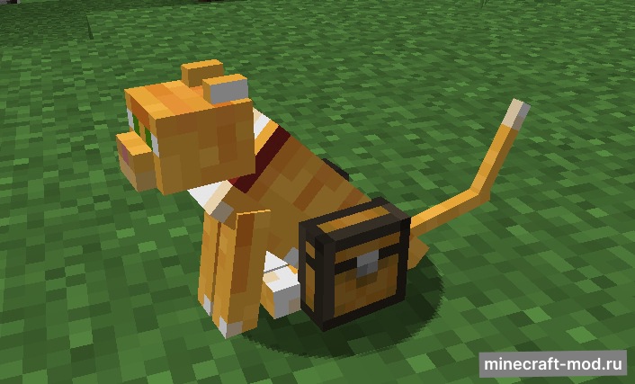 Мод Chested Companions для Minecraft 1.21, 1.20.6, 1.20.4,  ...