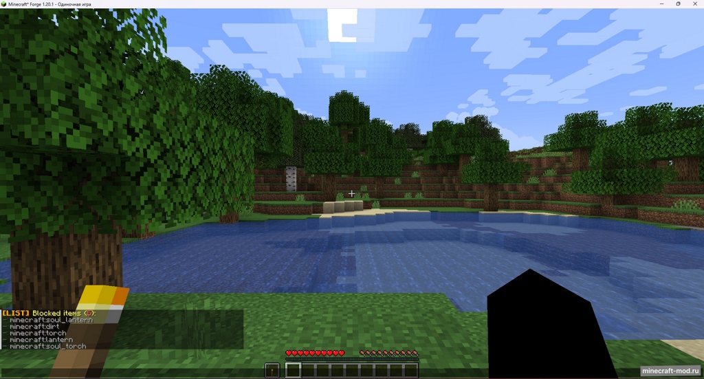 Мод NoPlacingTorch для Minecraft 1.20.1