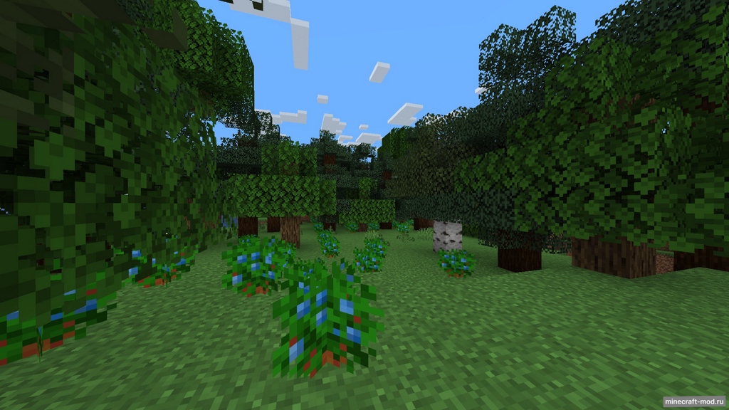 Мод Nature Arise для Minecraft 1.21, 1.20.6, 1.20.5,  ...