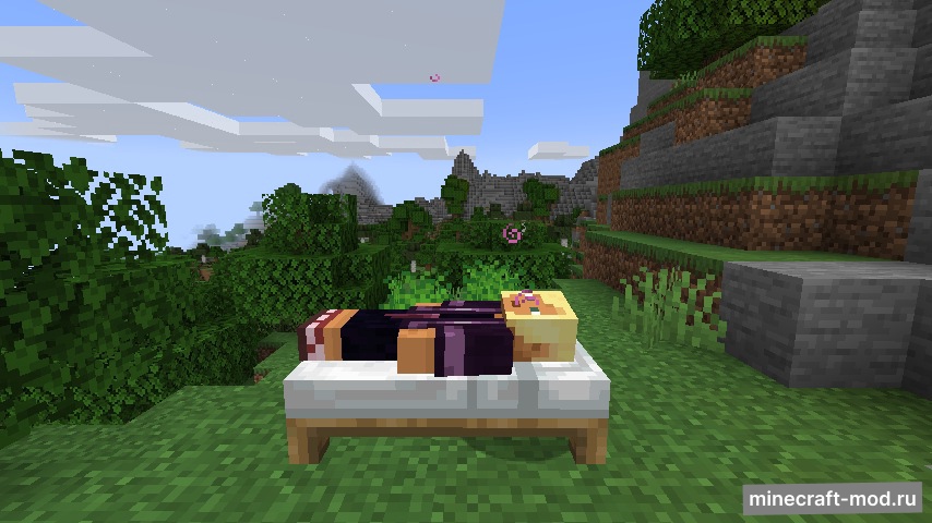 Мод SleepCycle для Minecraft 1.21.1, 1.21