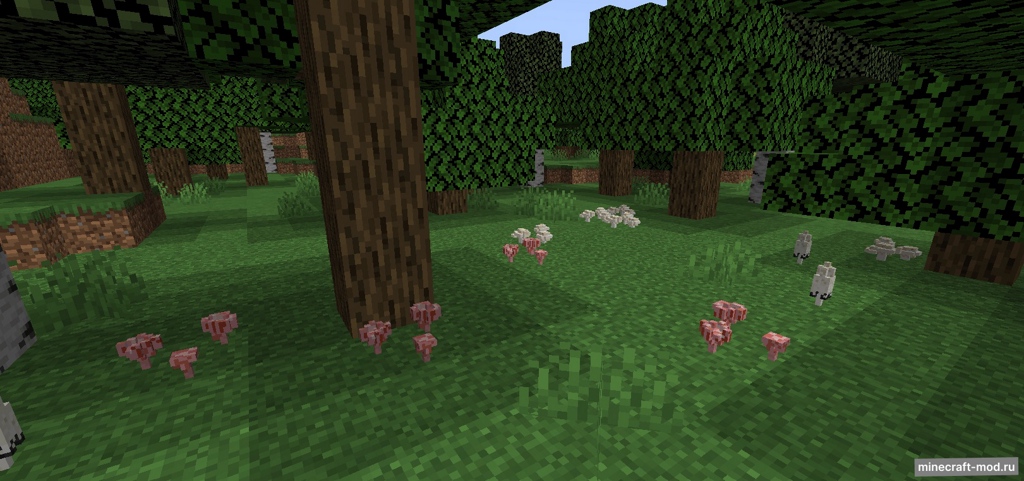 Мод Fungology для Minecraft 1.20.1, 1.19.4
