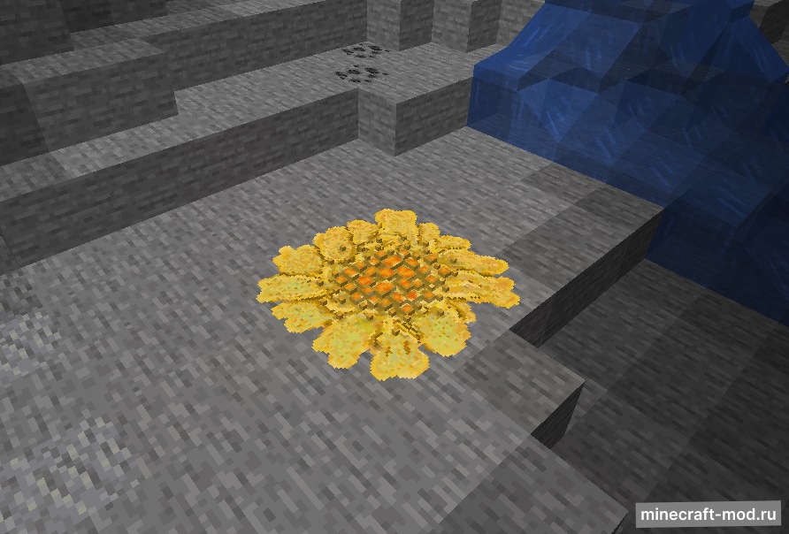 Мод Fungology для Minecraft 1.20.1, 1.19.4