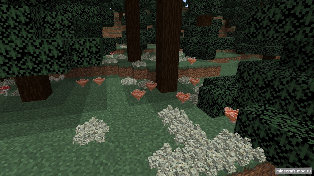 Мод Fungology для Minecraft 1.20.1, 1.19.4