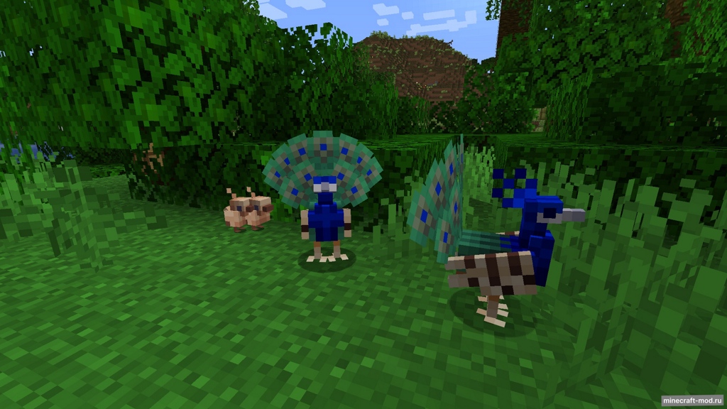 Мод Нуbrid Вirds для Minecraft 1.21.1, 1.21, 1.20.1