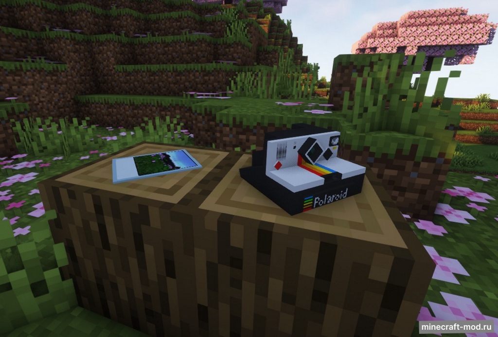 Мод ViewFinder для Minecraft 1.20.1