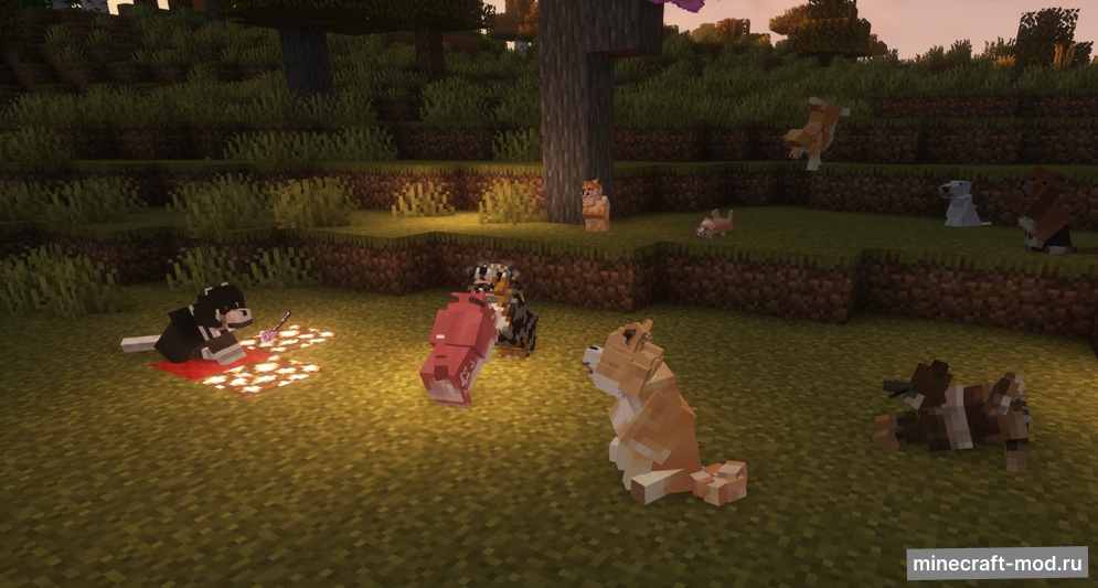 Мод Doggy Talents Next для Minecraft 1.21.1, 1.21.1 - 1.21 neoforge, 1.21,  ...