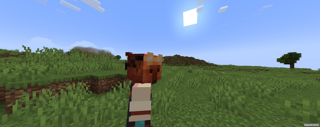 Мод AFK Camera для Minecraft 1.21.5