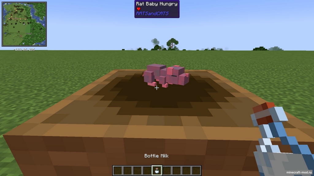 Мод Rats and Cats для Minecraft 1.20.1