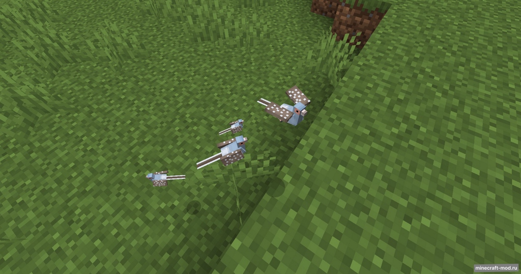 Мод Pigeons! для Minecraft 1.20.1