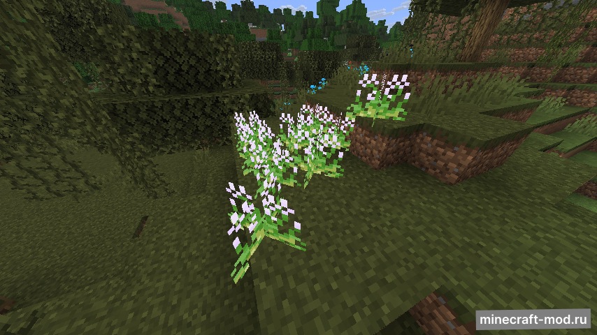 Мод Nycto для Minecraft 1.21.8