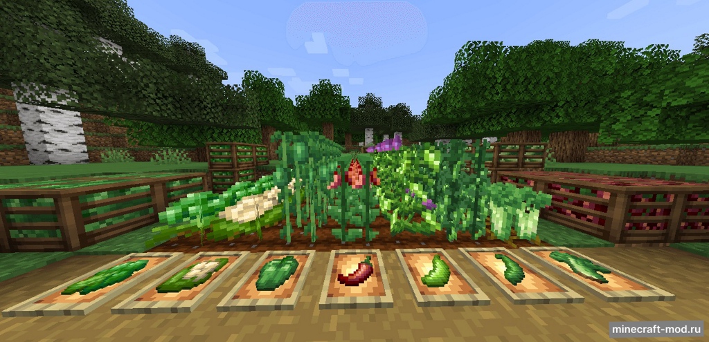 Мод Diversity Delight для Minecraft 1.21.1 neoforge