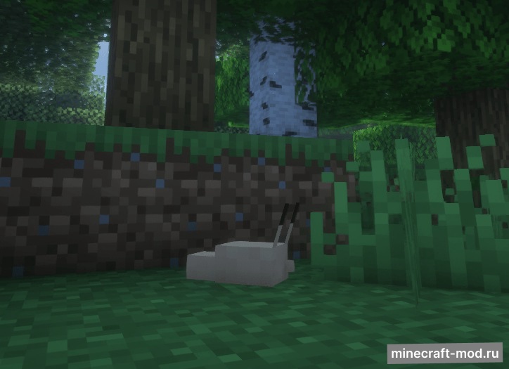 Мод Gastropod Galore для Minecraft 1.21.8 neoforge