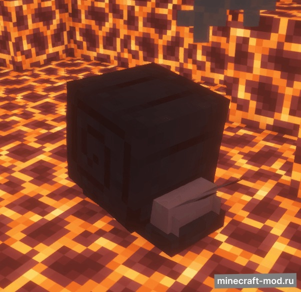 Мод Gastropod Galore для Minecraft 1.21.8 neoforge