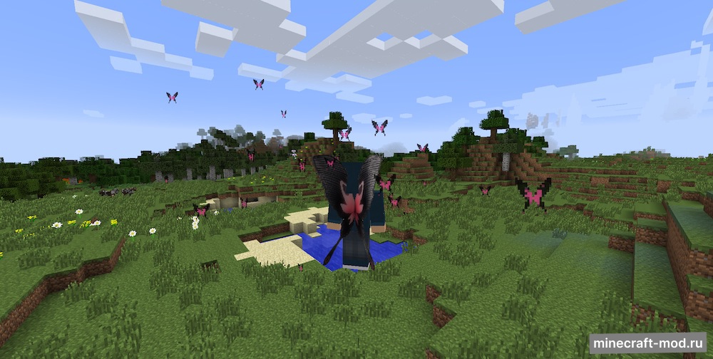 Мод Cosmetic Wings для Minecraft 1.12.1, 1.11.2, 1.10.2,  ...