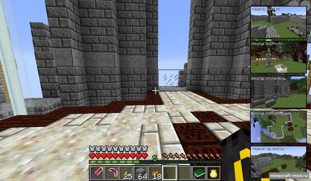 Мод Picture in Picture для Minecraft 1.12.2, 1.12.1, 1.12,  ...